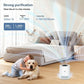 Smart WiFi Air Purifier – Formaldehyde Removal & Clean Air for Homes, Hotels & Offices